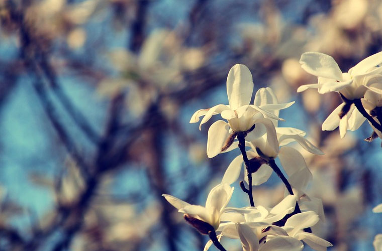 昆明市台湘科技学核2022年招生录取分数线 昆明市台湘科技学核2022年招生录取分数线