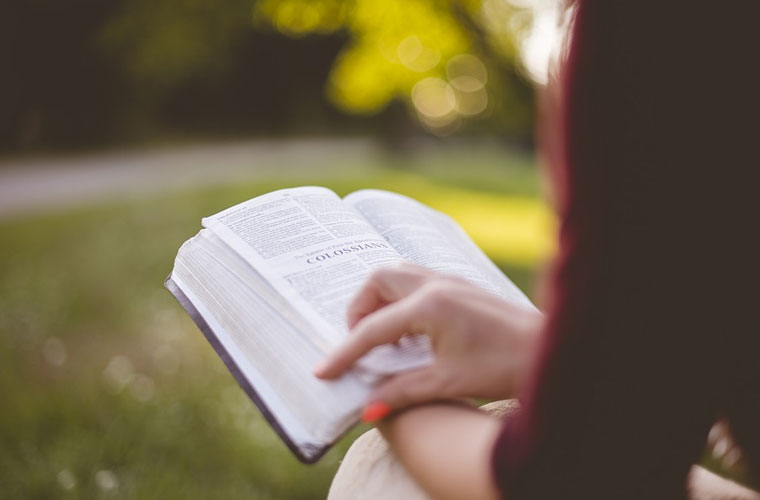 安顺技工学校2022年录取分数线