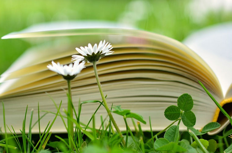 昌宁县职业技术学校春季招生简章及报名时间 昌宁县职业技术学校春季招生简章及报名时间