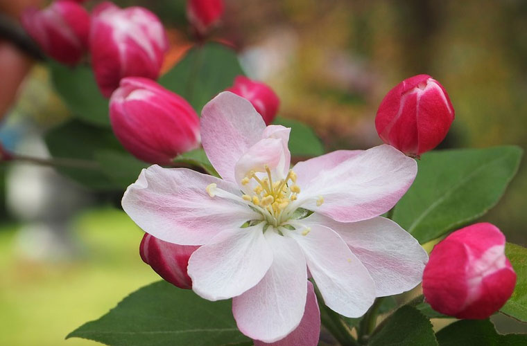 遵义市职业技术学校各专业收费