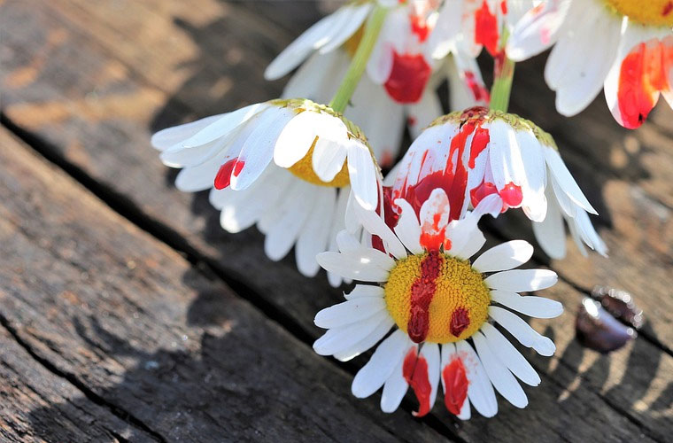 红河卫生职业学院各专业收费多少