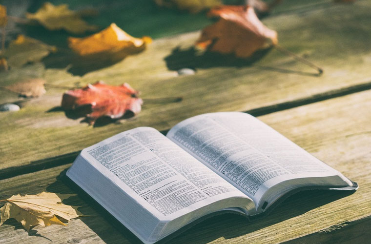 重庆市农业机械化学校春季报名时间及简章