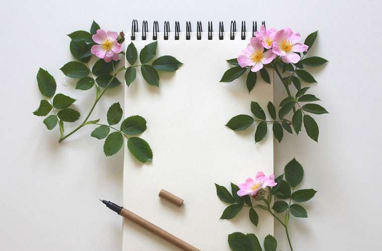 自贡市大安职业技术学校春季招生简章及报名时间 自贡市大安职业技术学校春季招生简章及报名时间