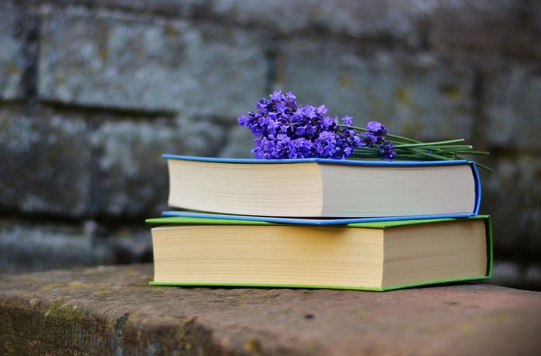 重庆三峡职业学院2022年录取分数线