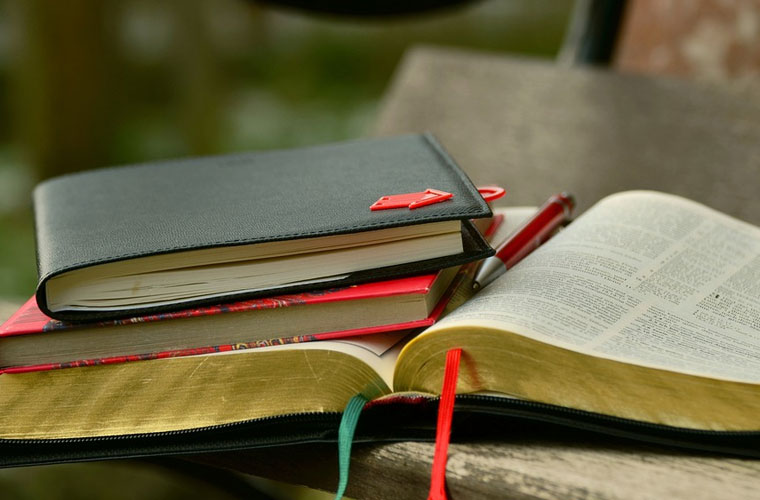 贵阳行知科技职业学校2022年分数线