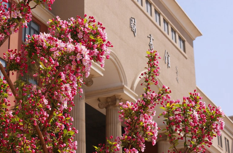 云南文化艺术职业学院2022年招生录取分数线 云南文化艺术职业学院2022年招生录取分数线